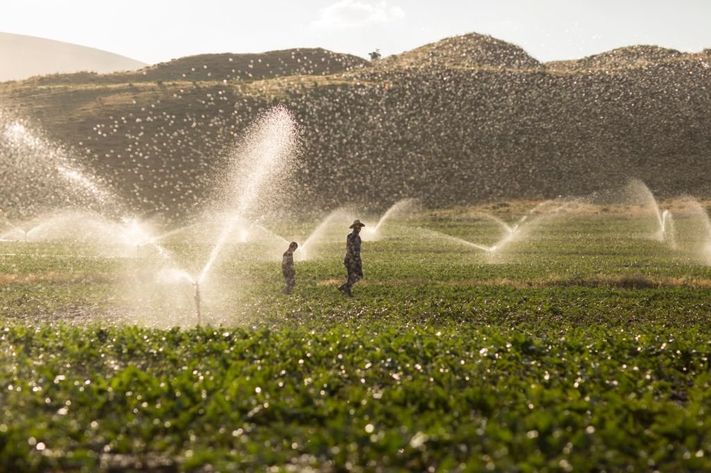 Kilimo hilft Bauern, Wasser zu sparen und dafür bezahlt zu werden